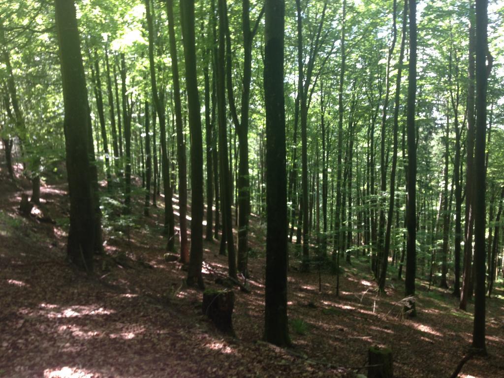 Familien Themen-Appartement Freiburg In Soelden 2 Schlafzimmer Exteriér fotografie